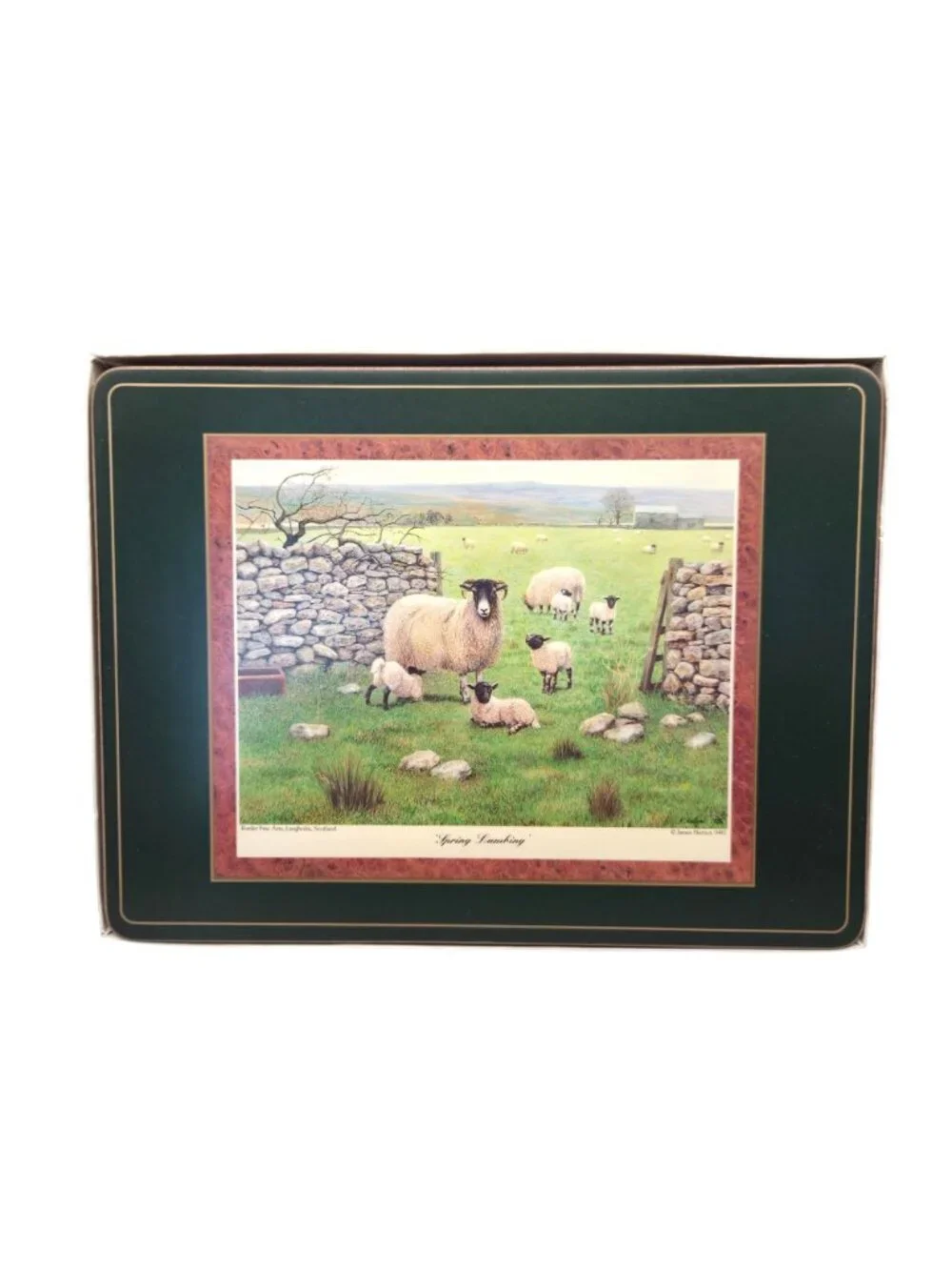 James Herriot Series 1 Placemats Acrylic Border Fine Arts Scotland Set of 6